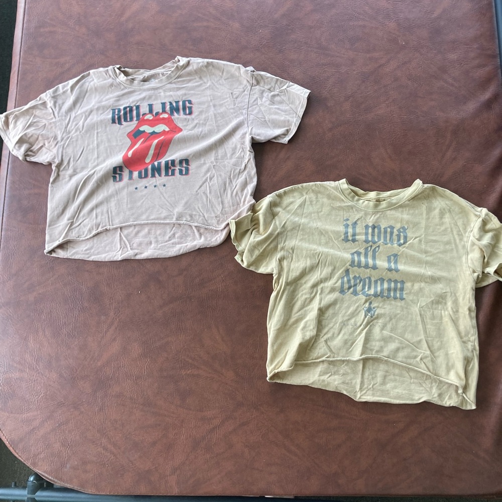 American Eagle Rolling Stones and Notorious B.I.G Cropped Tee Shirts